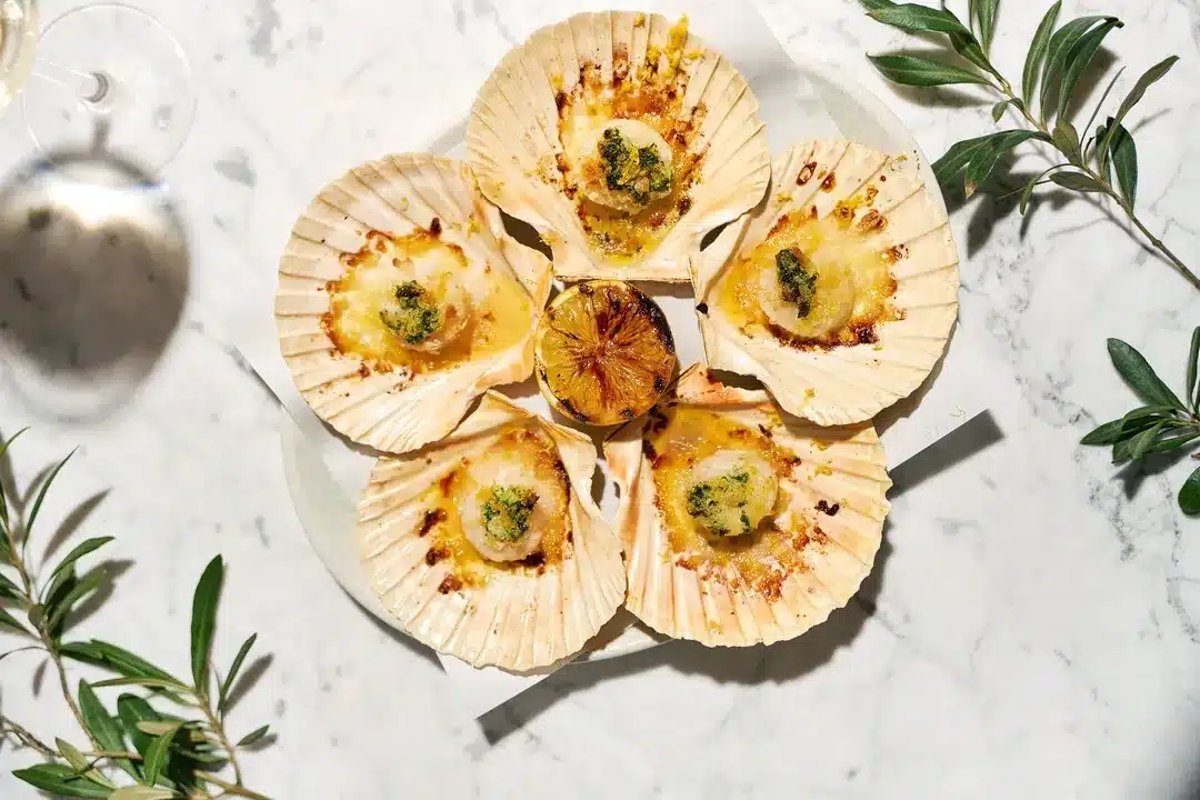 Capesante featured on our seasonal Italian menu